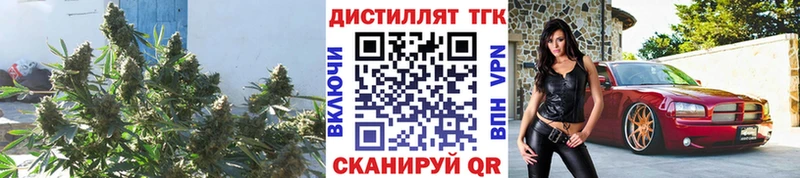 ТГК Wax даркнет сайт Славгород