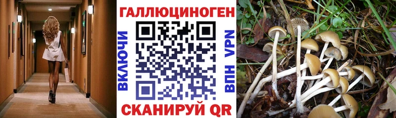 Галлюциногенные грибы Magic Shrooms  Славгород 